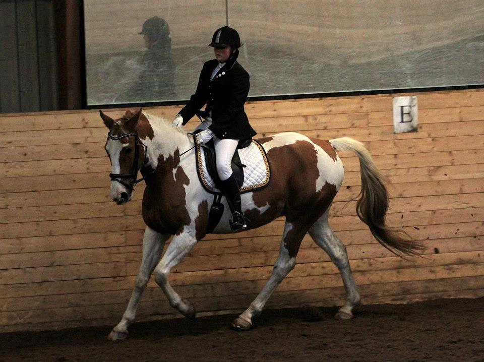 Pinto Metrik - Stævne i Sabro! Foto: Pia Lundberg billede 10