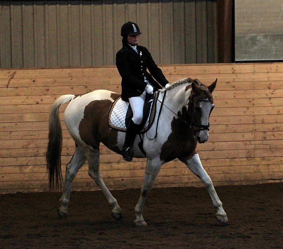 Pinto Metrik - Stævne i Sabro! Foto: Pia Lundberg billede 12