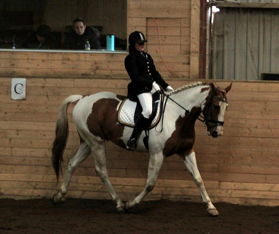 Pinto Metrik - Stævne i Sabro! Foto: Pia Lundberg billede 19
