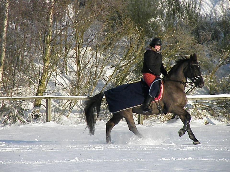 Oldenborg Damgaardens Martine billede 6