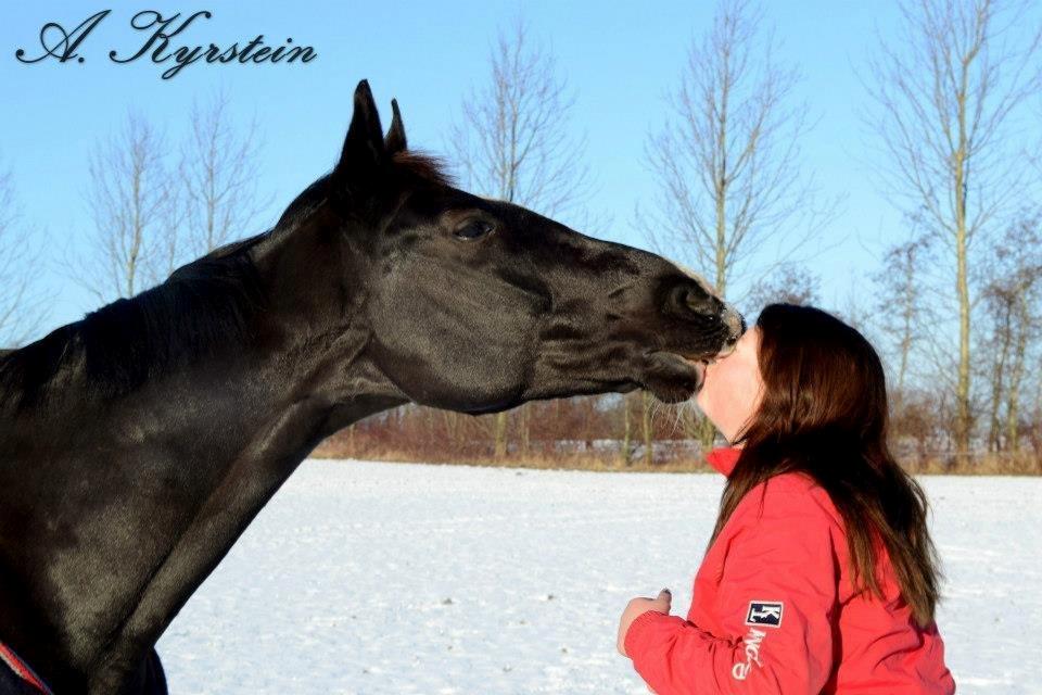 Anden særlig race SVALEGAARDEN ROLEX - My only one. <3 billede 3