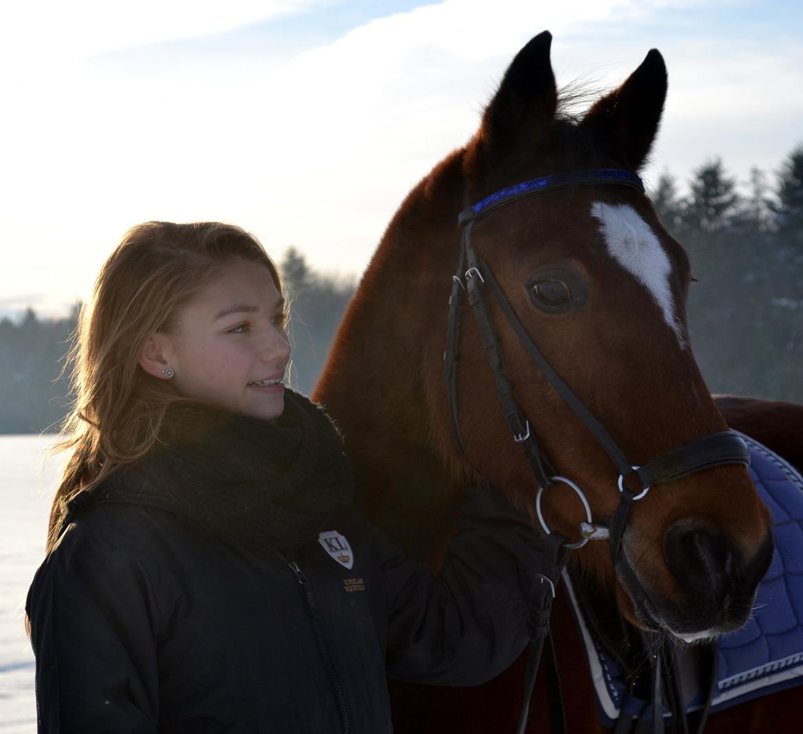 Anden særlig race Matell - d. 08/12 - 2012 billede 4