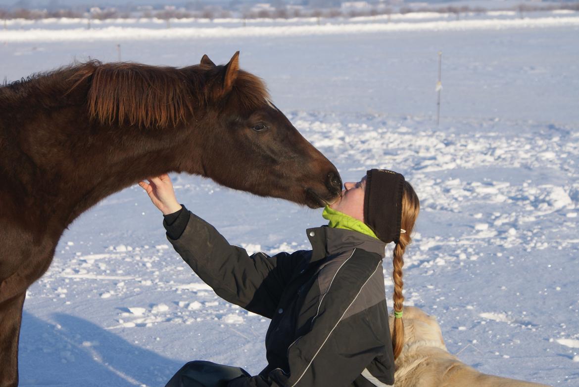 DSP Enzo M - Nys til mig 12/12-12 billede 15