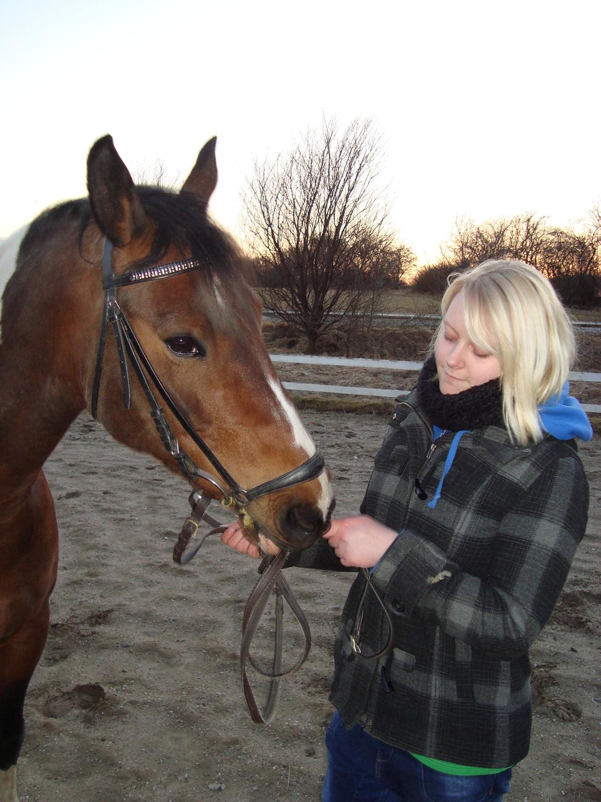 Anden særlig race BOJARD - Bojard og jeg en af mine sidste dage sammen med ham.. At sige farvel til ham, var nok noget af det sværeste jeg nogensinde har skulle gøre.. Rest In Peace 14-3-2011 billede 5