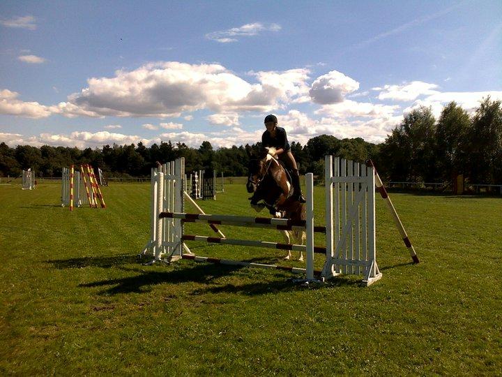 Anden særlig race BOJARD - Sideste spring på Bojard, 115 cm.. Sommeren 2010 billede 1