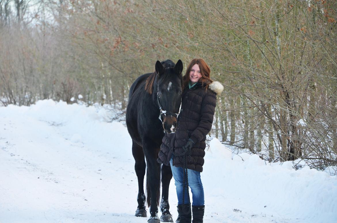 Anden særlig race Wajes Nevada - Kønne dreng <3 billede 4