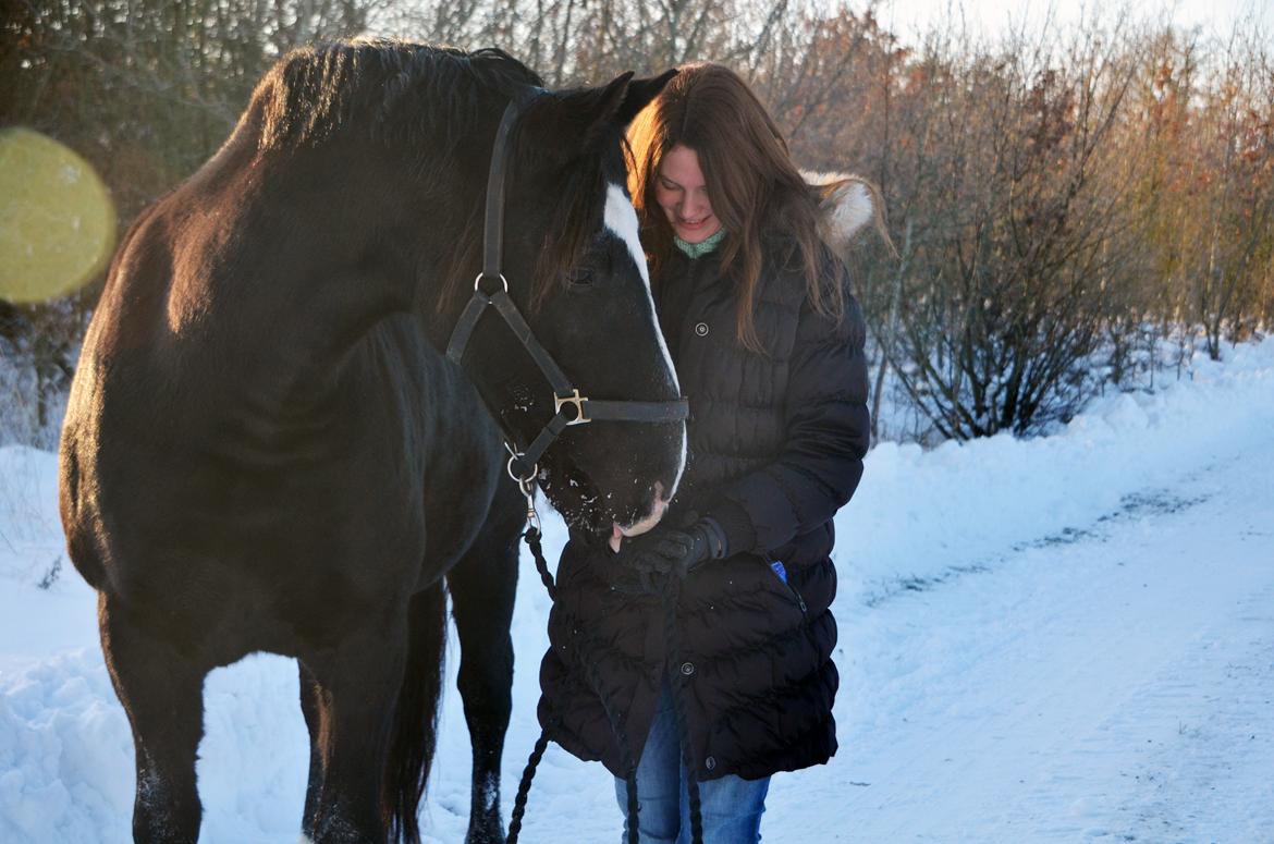 Oldenborg Chance - Min smukke dreng ! billede 3