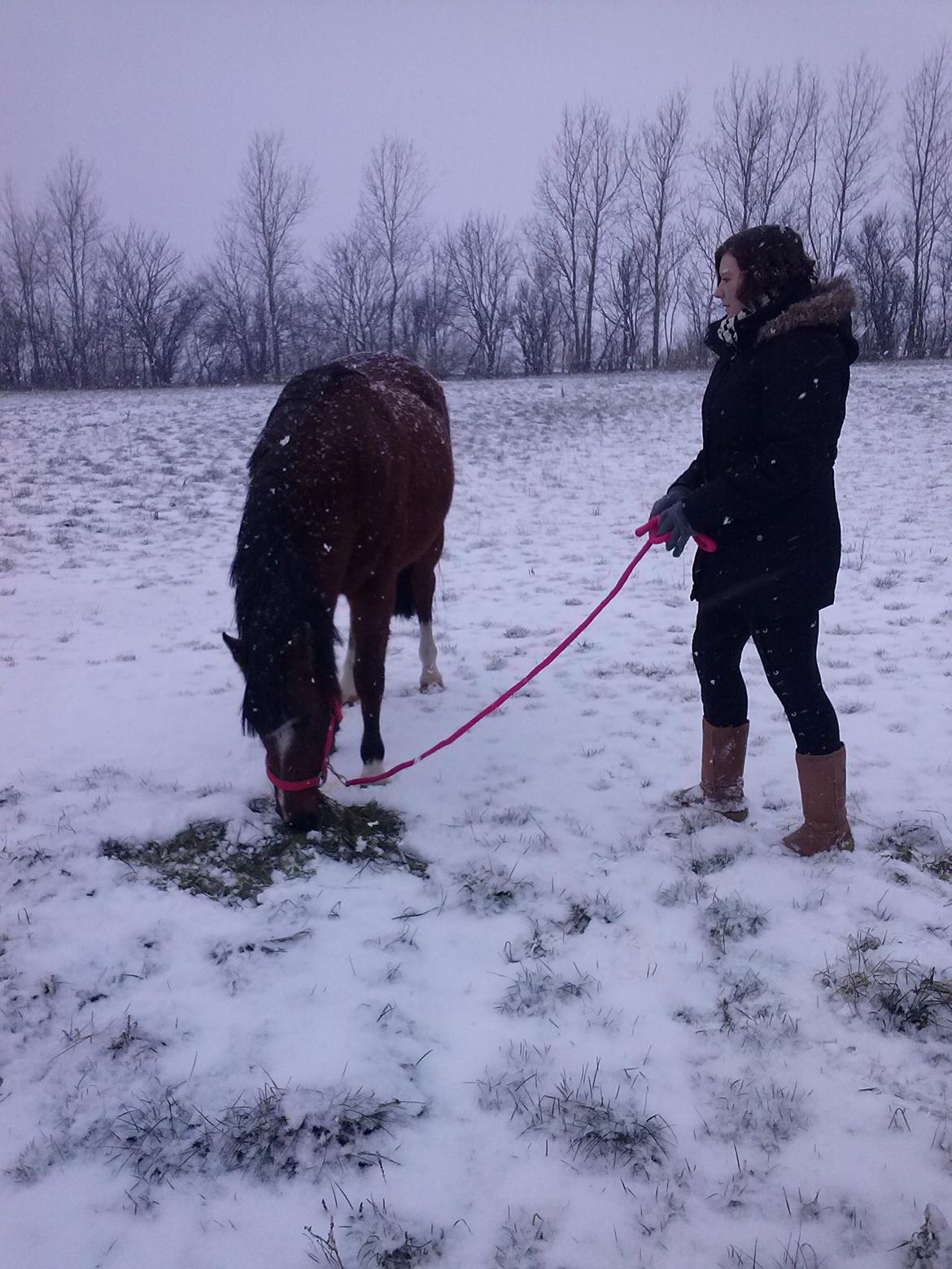 Anden særlig race silas billede 5