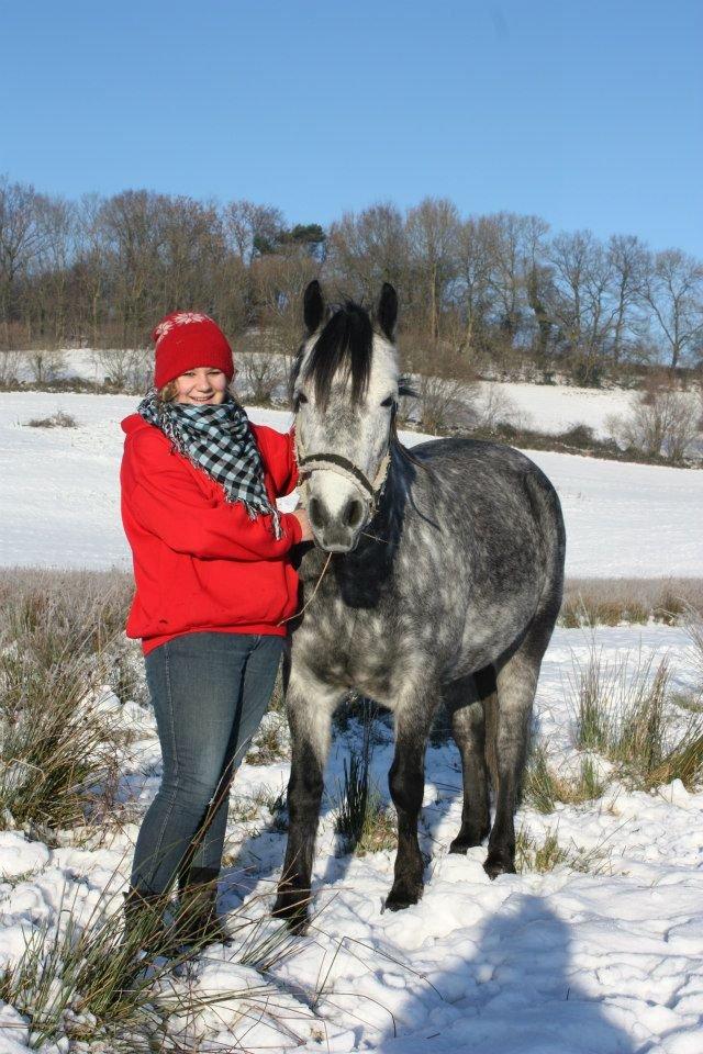 Connemara Aabæks Bobby Lee  - Velkommen til dejlige Lee's profil, læg gerne en bedømmelse og kommentar nu du er her.. ;-)

d. 12-12-12.<3 billede 1