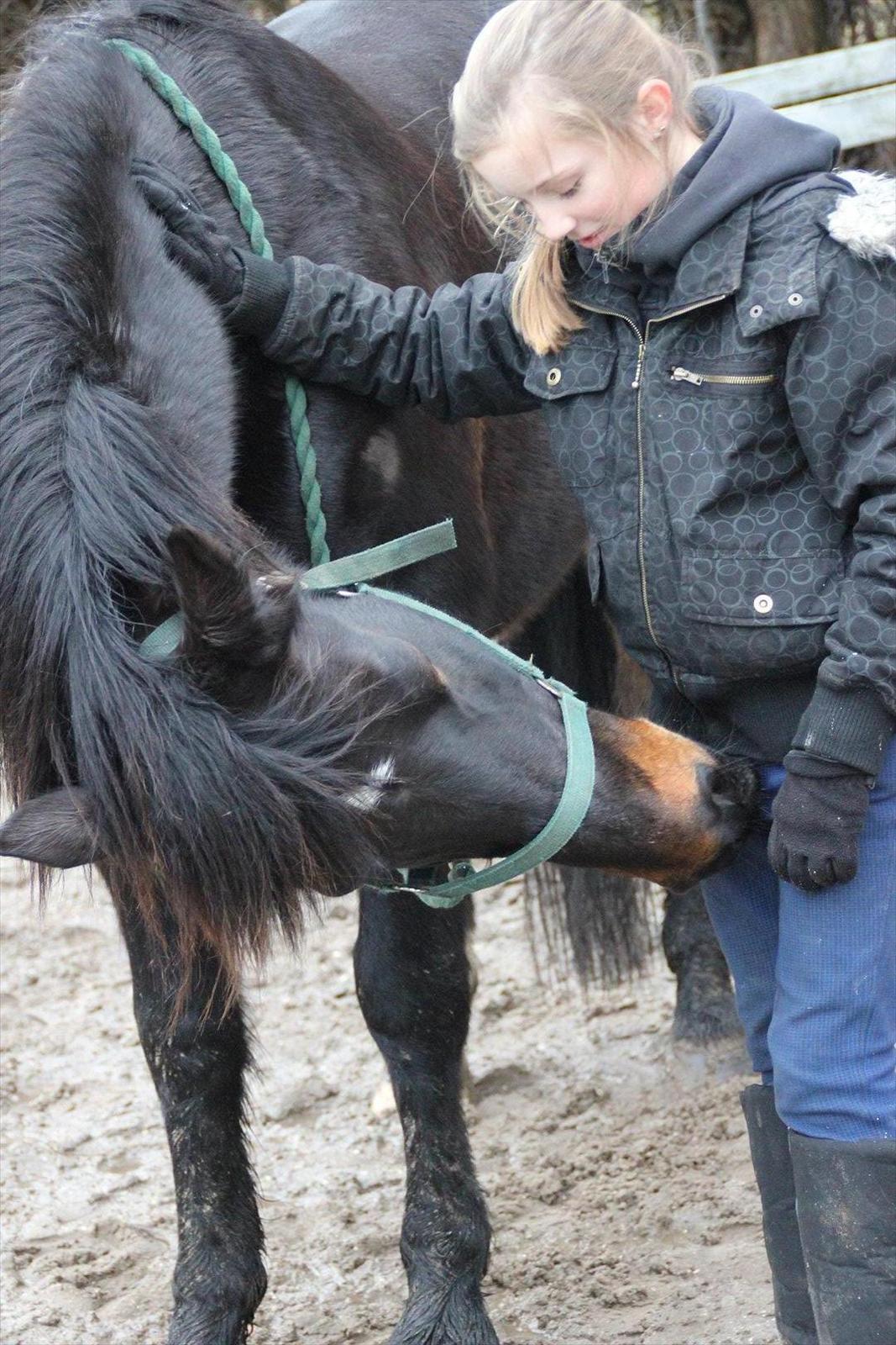 Anden særlig race Krumme *Part* billede 9