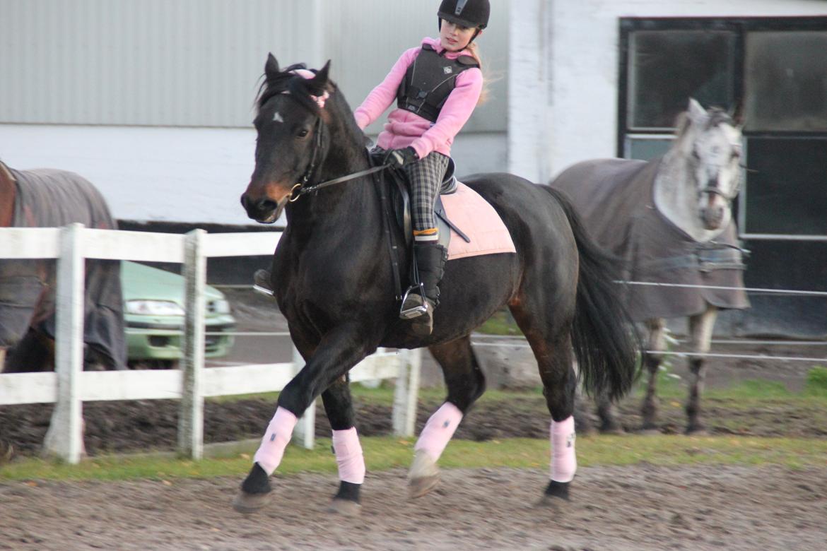 Anden særlig race Krumme *Part* billede 1