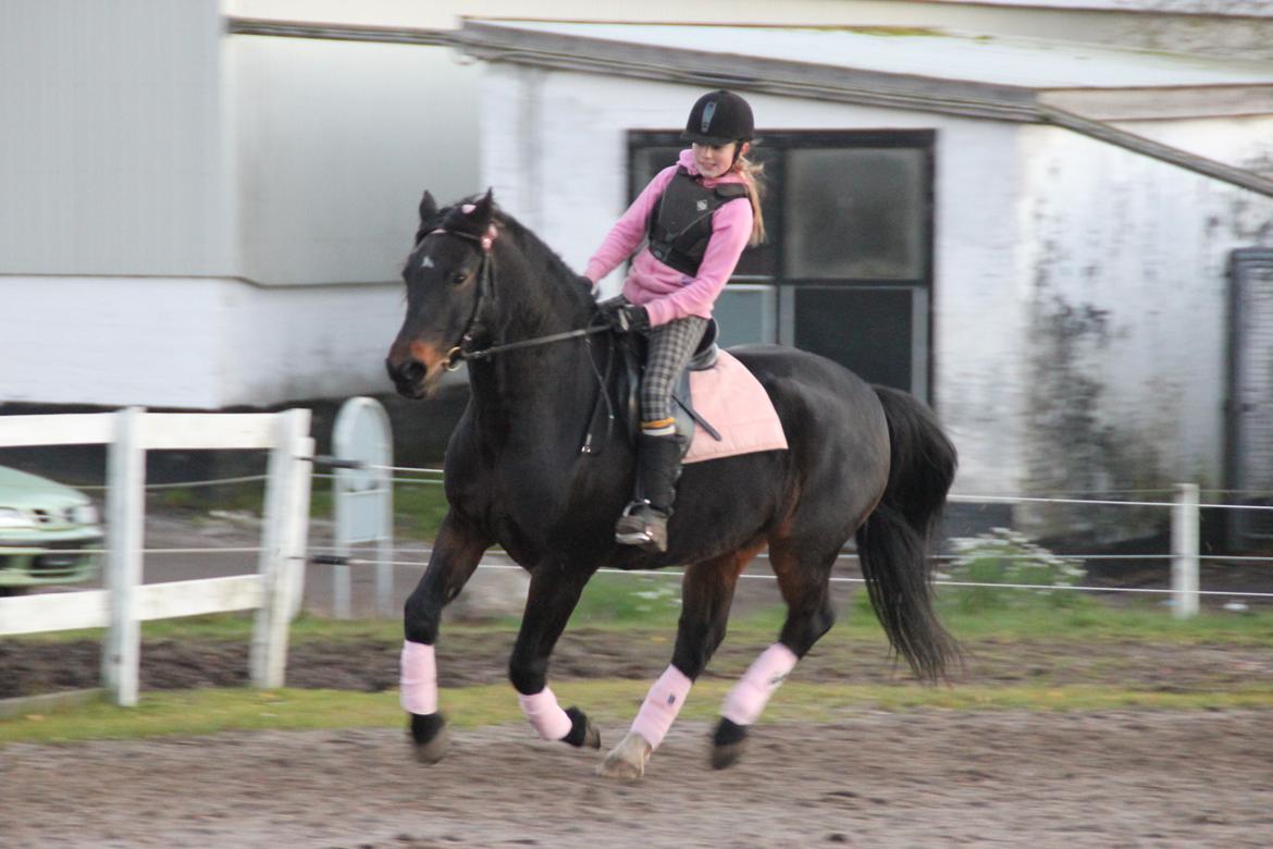 Anden særlig race Krumme *Part* billede 13