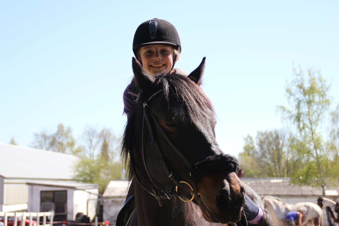 Anden særlig race Krumme *Part* billede 14