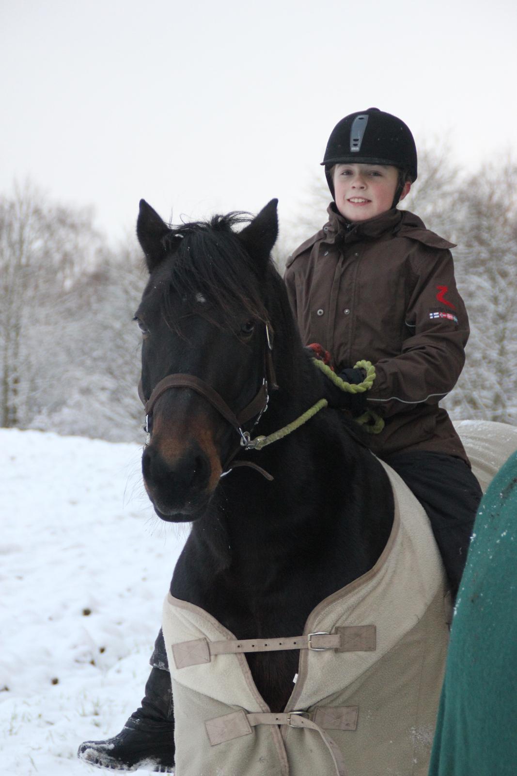 Anden særlig race Krumme *Part* billede 18