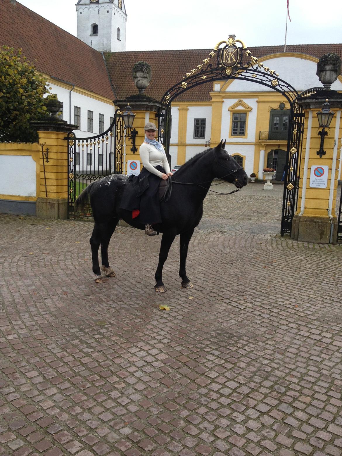 Knabstrupper Amigo - Drnninglund slot 2012 billede 19