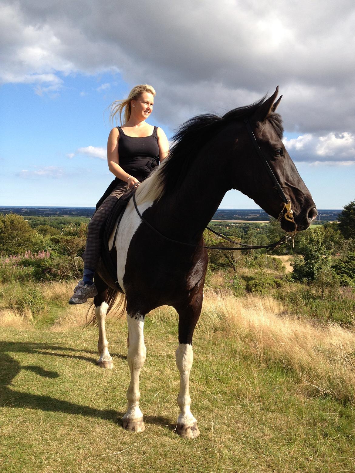 Pinto Cæser Af Korup billede 10