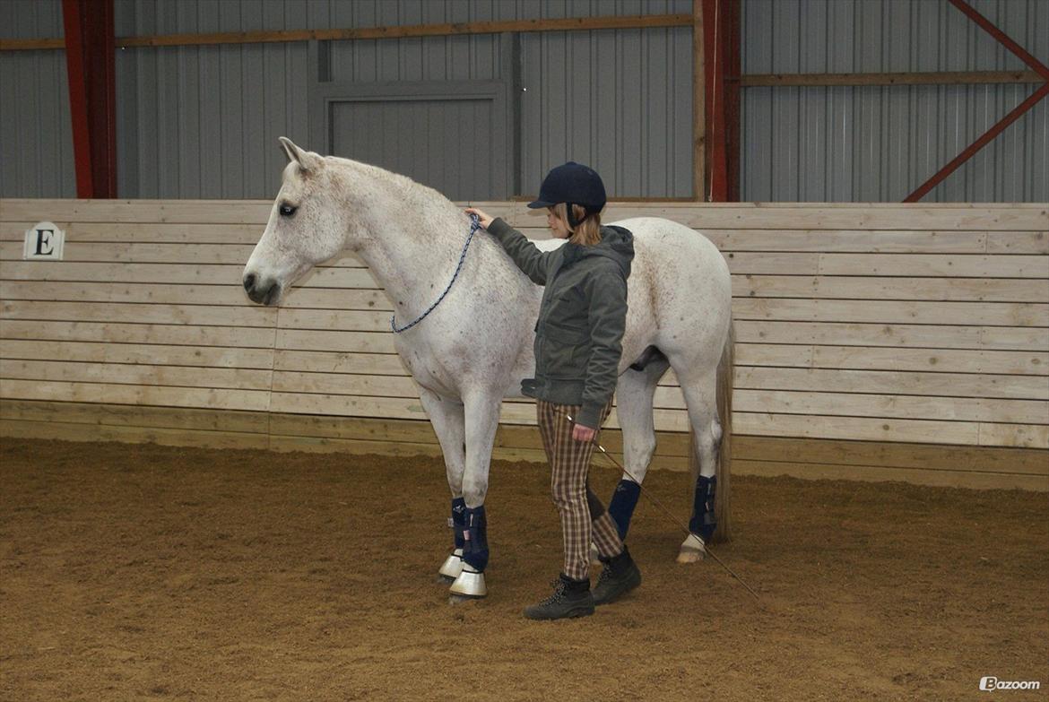 Sportsaraber (A) Karim billede 4