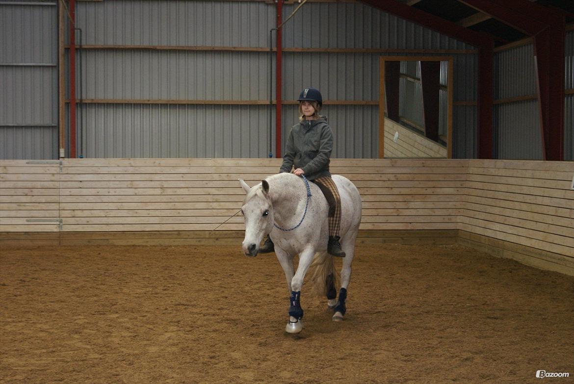 Sportsaraber (A) Karim billede 2