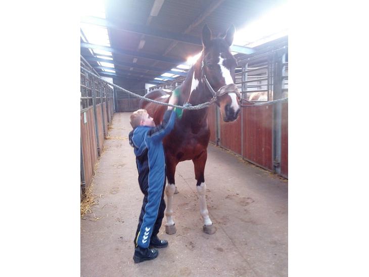 {{currentPhoto.altText}} billede {{currentPhoto.number}}