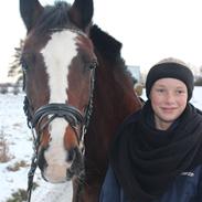 Anden særlig race Maddie