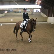 Anden særlig race Je T'aime Mon Ami