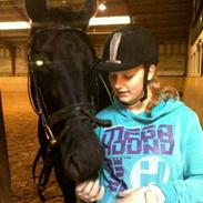 Anden særlig race Dragshøjs Cherie