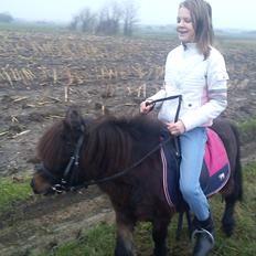 Anden særlig race Farmens Hannibal