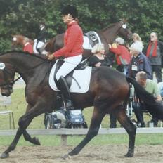 Dansk Varmblod Humlegårds Miss Sauterne