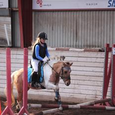 Anden særlig race Dundee*Beautiful*<3