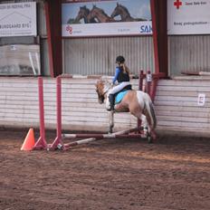 Anden særlig race Dundee*Beautiful*<3