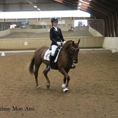 Anden særlig race Je T'aime Mon Ami