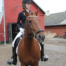 Anden særlig race Je T'aime Mon Ami