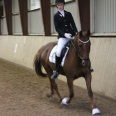 Anden særlig race Je T'aime Mon Ami