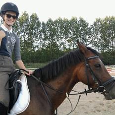 Welsh Partbred (Sec F) GROEZE'S JOSINA