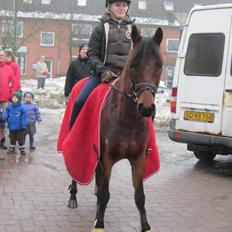 Anden særlig race LUNDGAARD'S COINTREAU - SOLGT