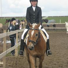 Anden særlig race Nemo Bit