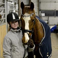 Anden særlig race Sheila