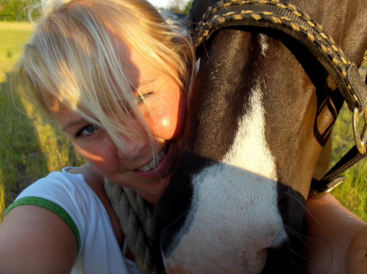 Pinto Cæser Af Korup billede 13