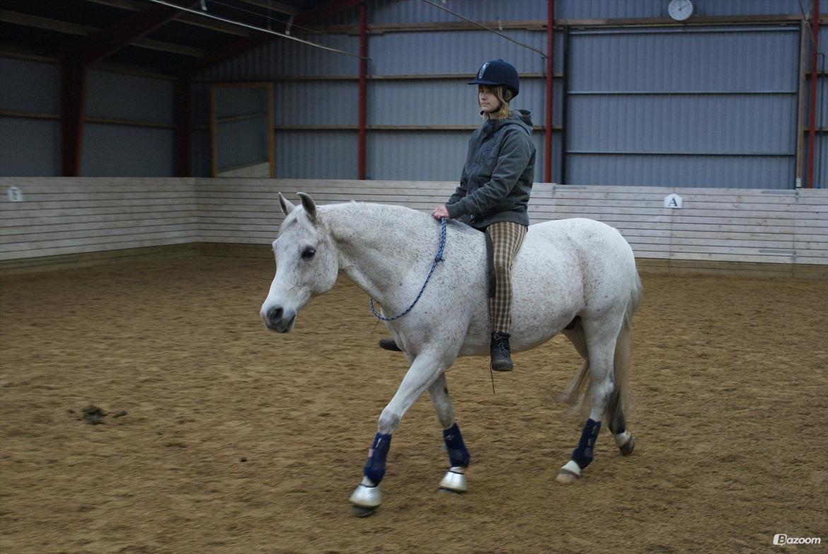 Sportsaraber (A) Karim billede 16