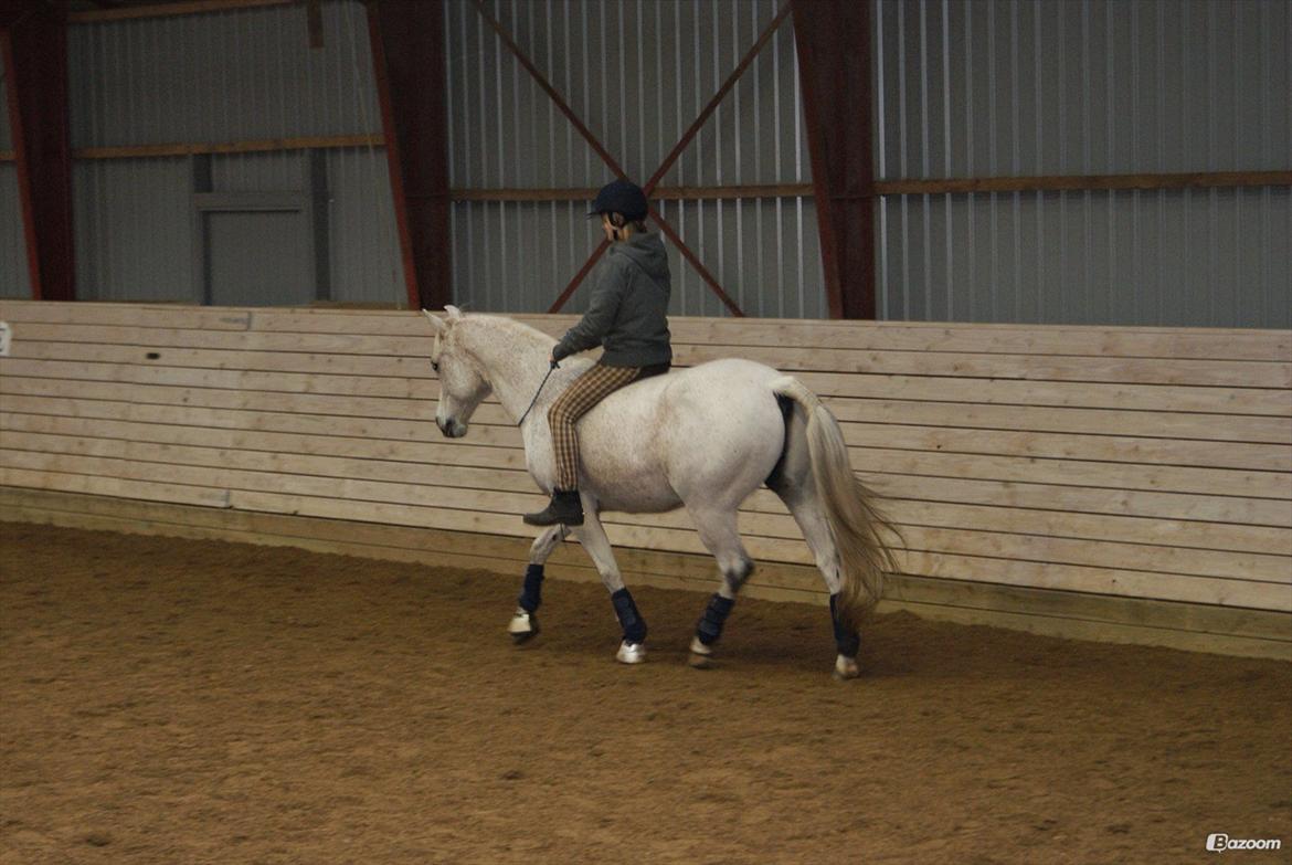 Sportsaraber (A) Karim - Bye, bye...
Smid en kommentar og en bedømmelse:-) billede 20