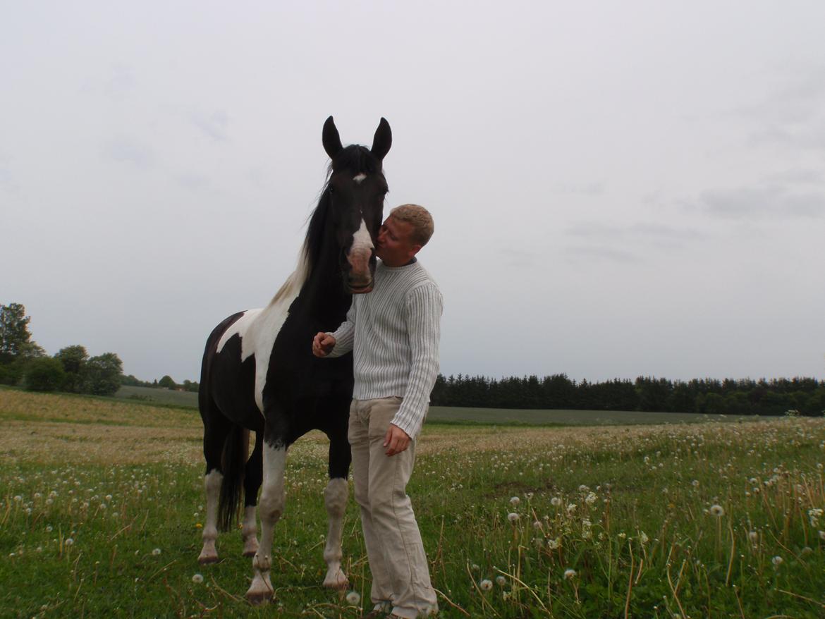 Pinto Cæser Af Korup - Sommer 2010 billede 15