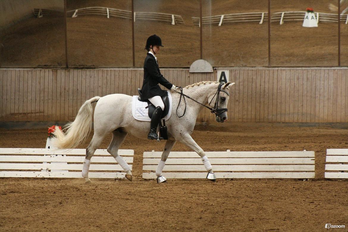 Sportsaraber (A) Karim - Foto: Josefine Holm Jensen billede 13