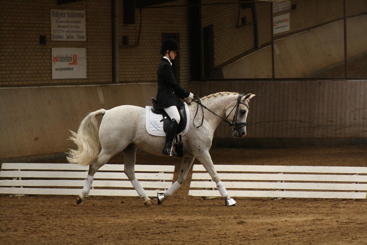 Sportsaraber (A) Karim - Foto: Josefine Holm Jensen billede 18