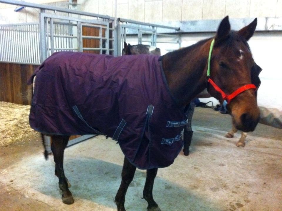 Traver Oscar Fønix - Oscar er klar til Vinter (2012) billede 19