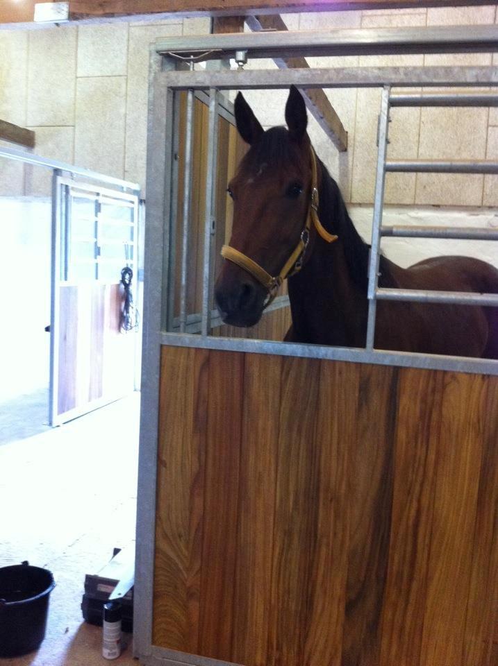 Traver Oscar Fønix - Oscar i sin nye boks D. 22/07-12 billede 18