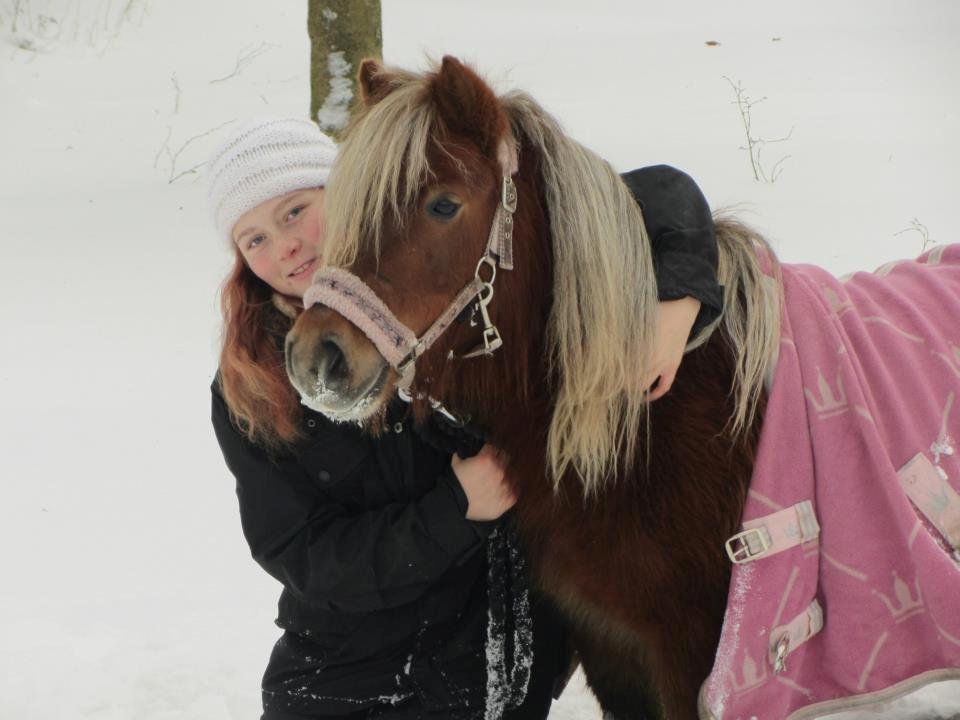 Shetlænder Tine!<3 (bamsen) - elsker dig mus!:-)<3<3 billede 6