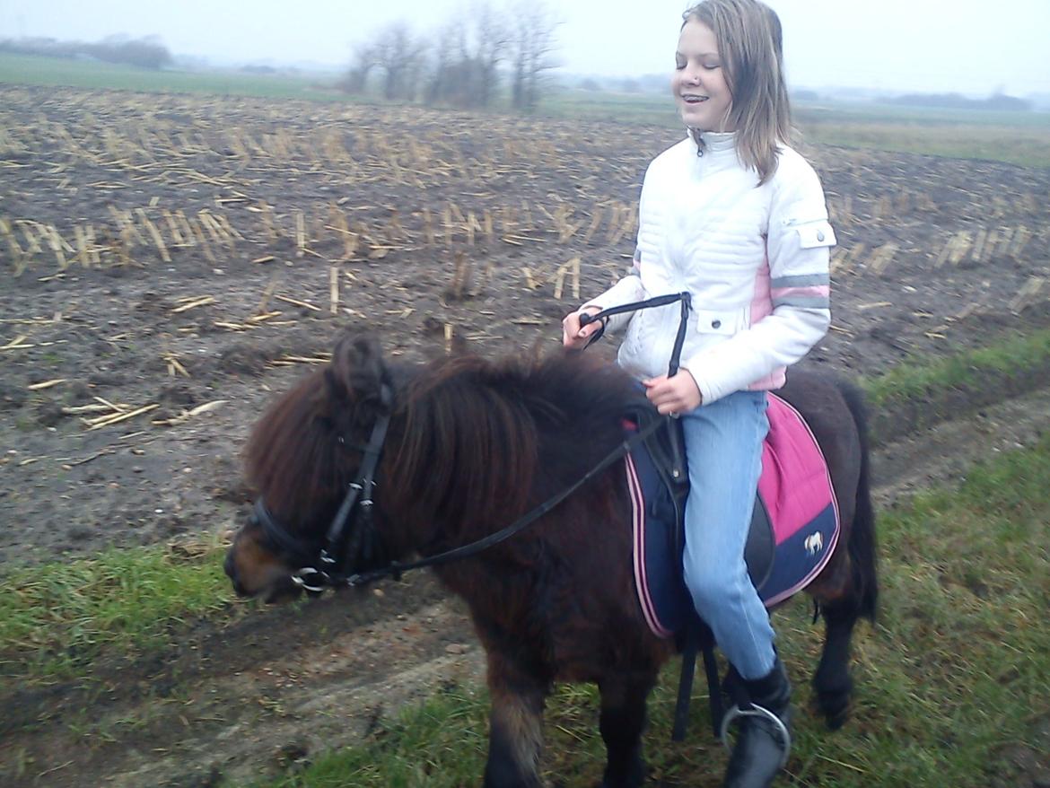 Anden særlig race Farmens Hannibal billede 3