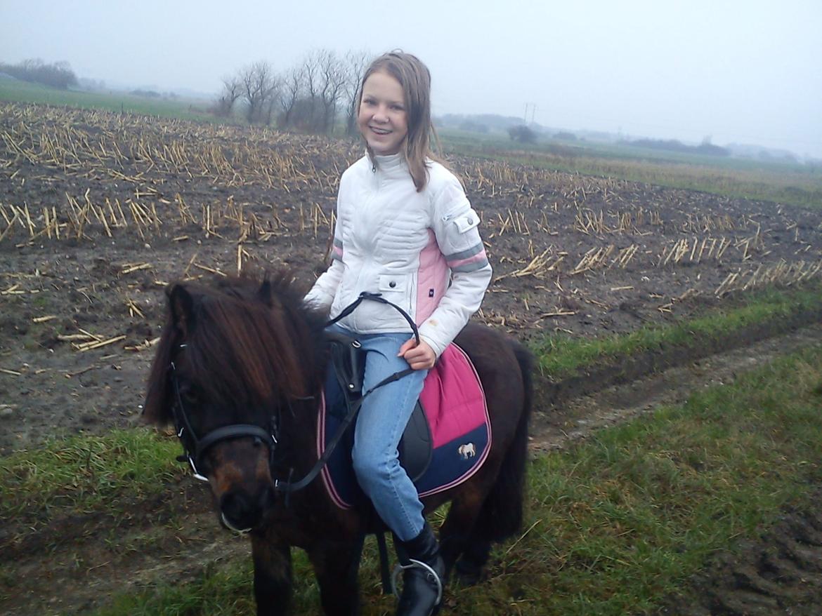 Anden særlig race Farmens Hannibal billede 4