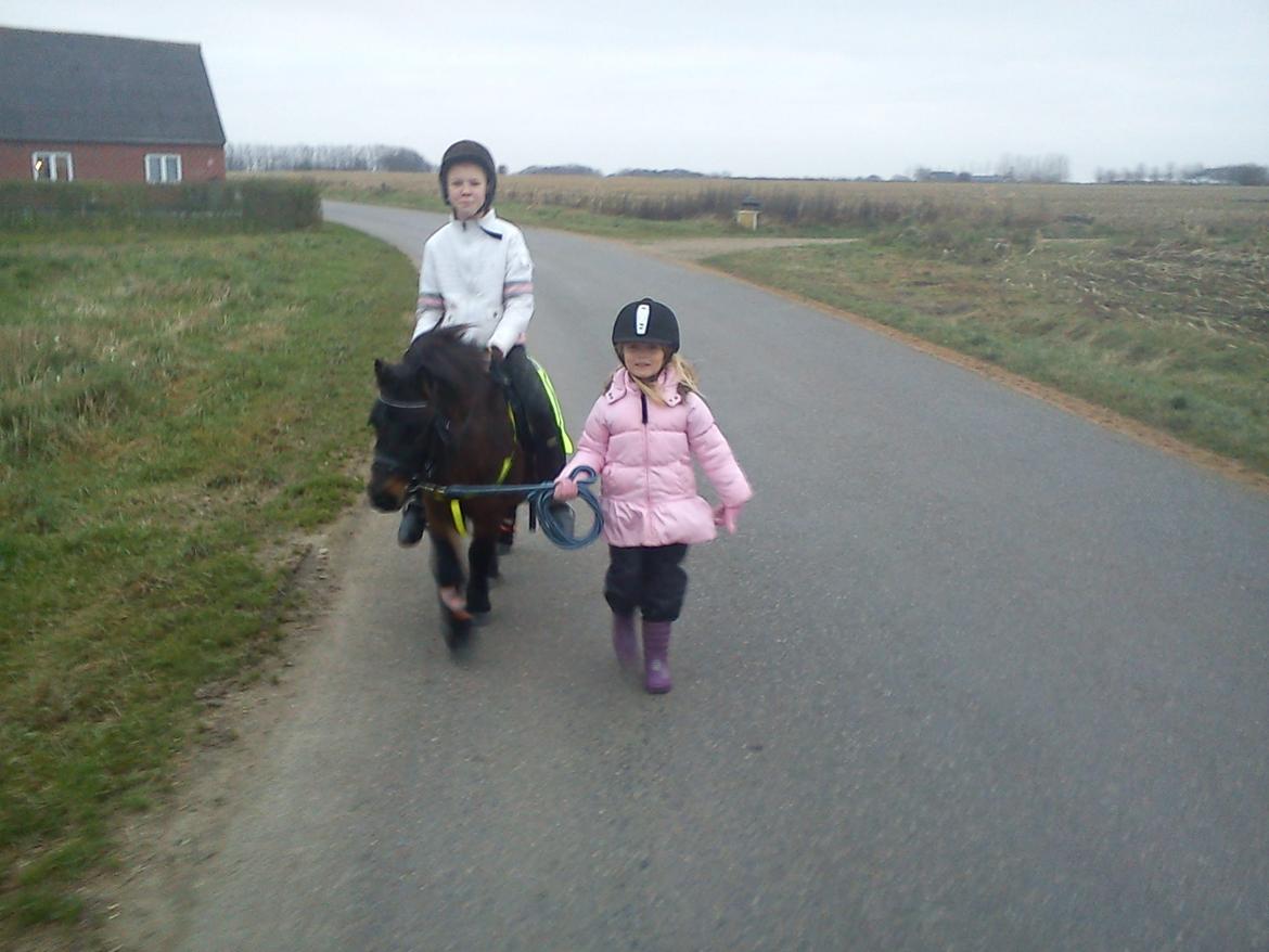 Anden særlig race Farmens Hannibal billede 5