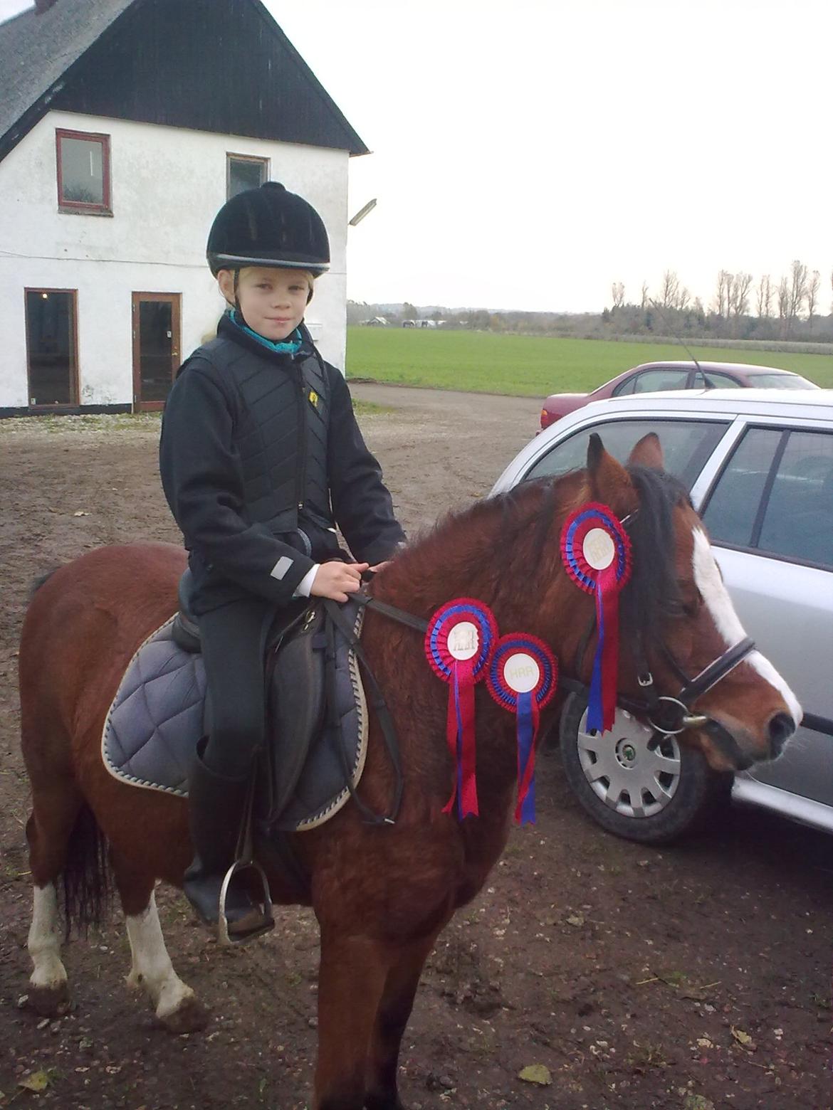 Welsh Mountain (sec A) Barbie billede 8